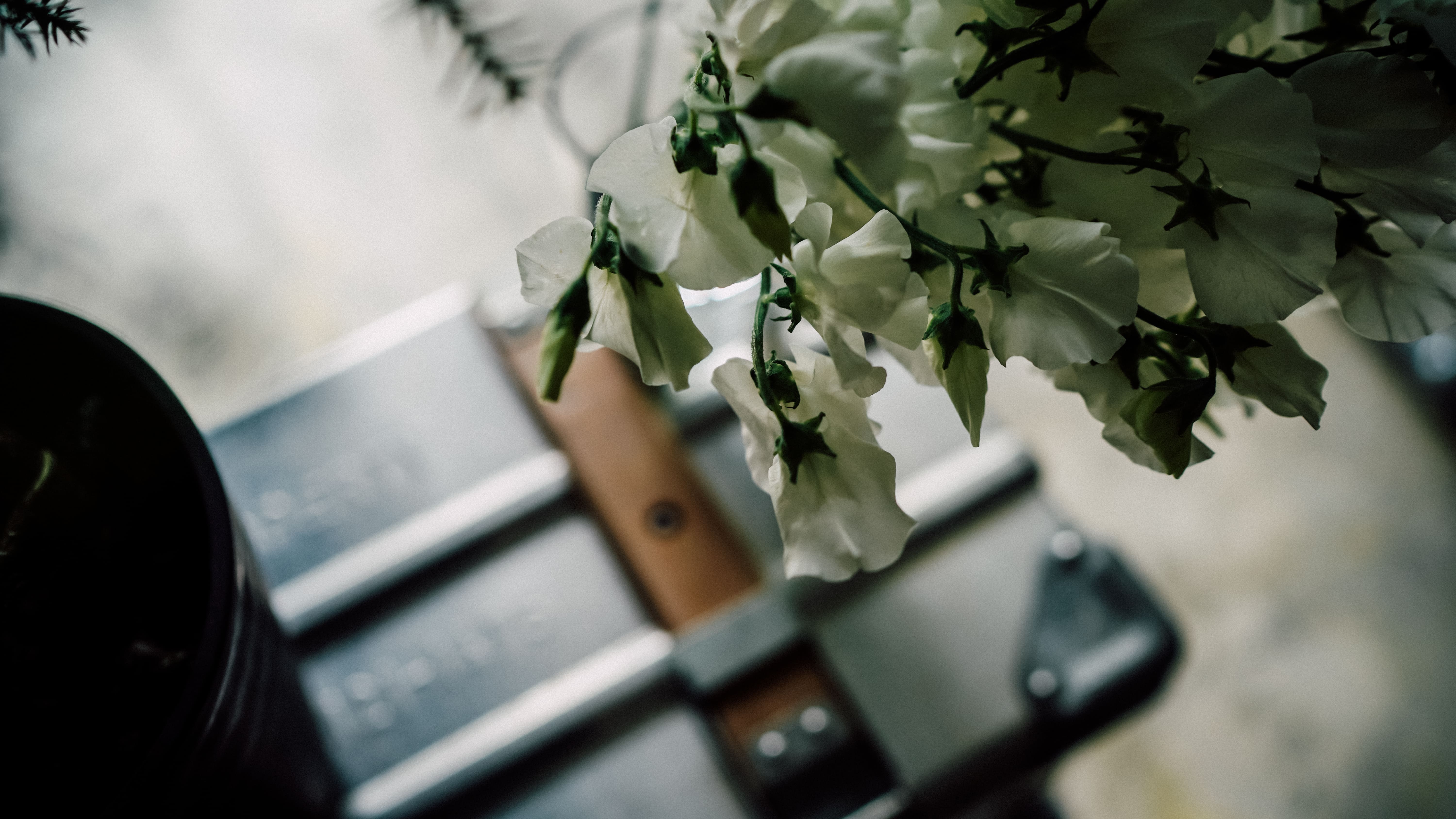 shicaflowerイメージ