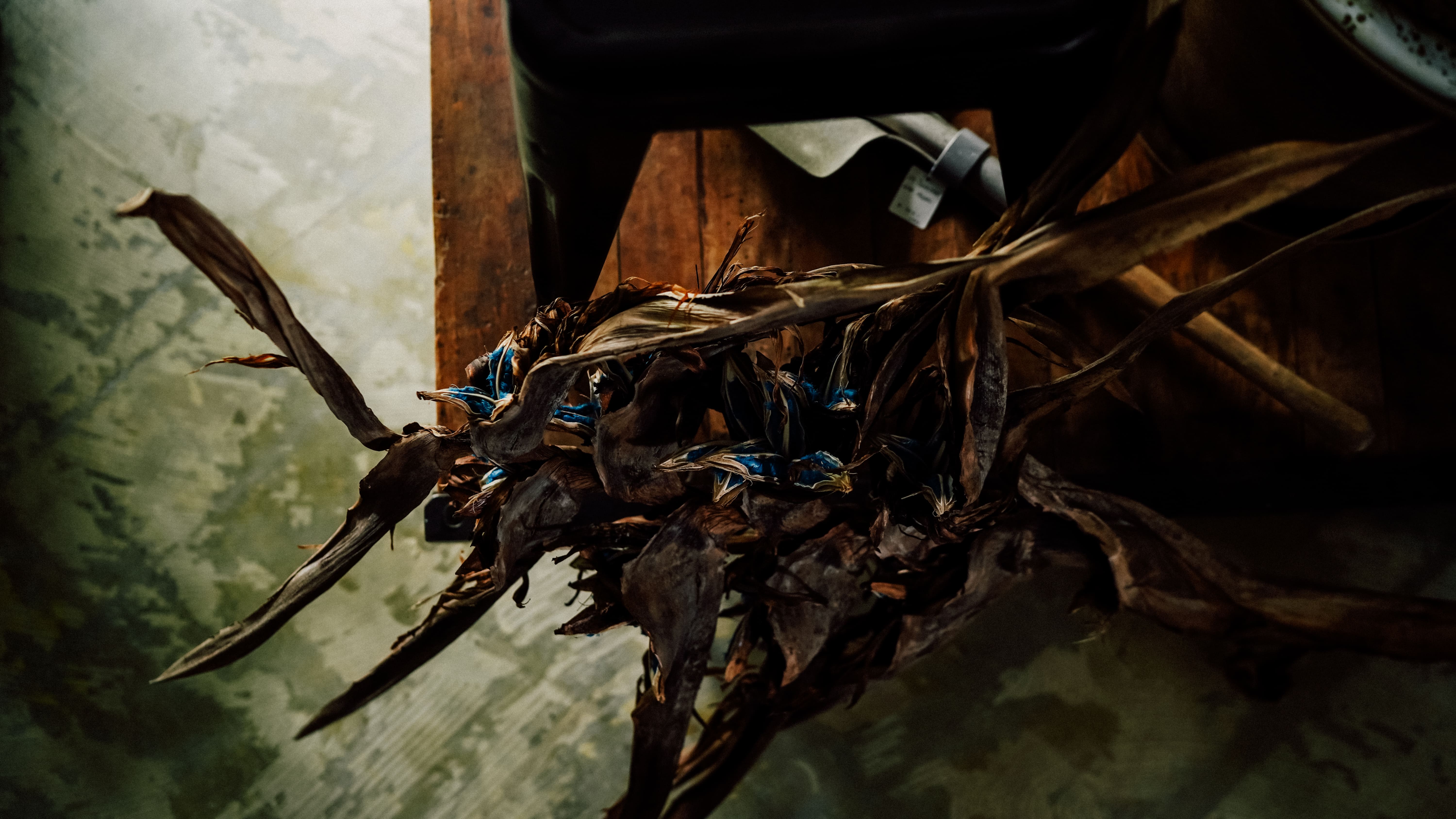 shicaflowerイメージ