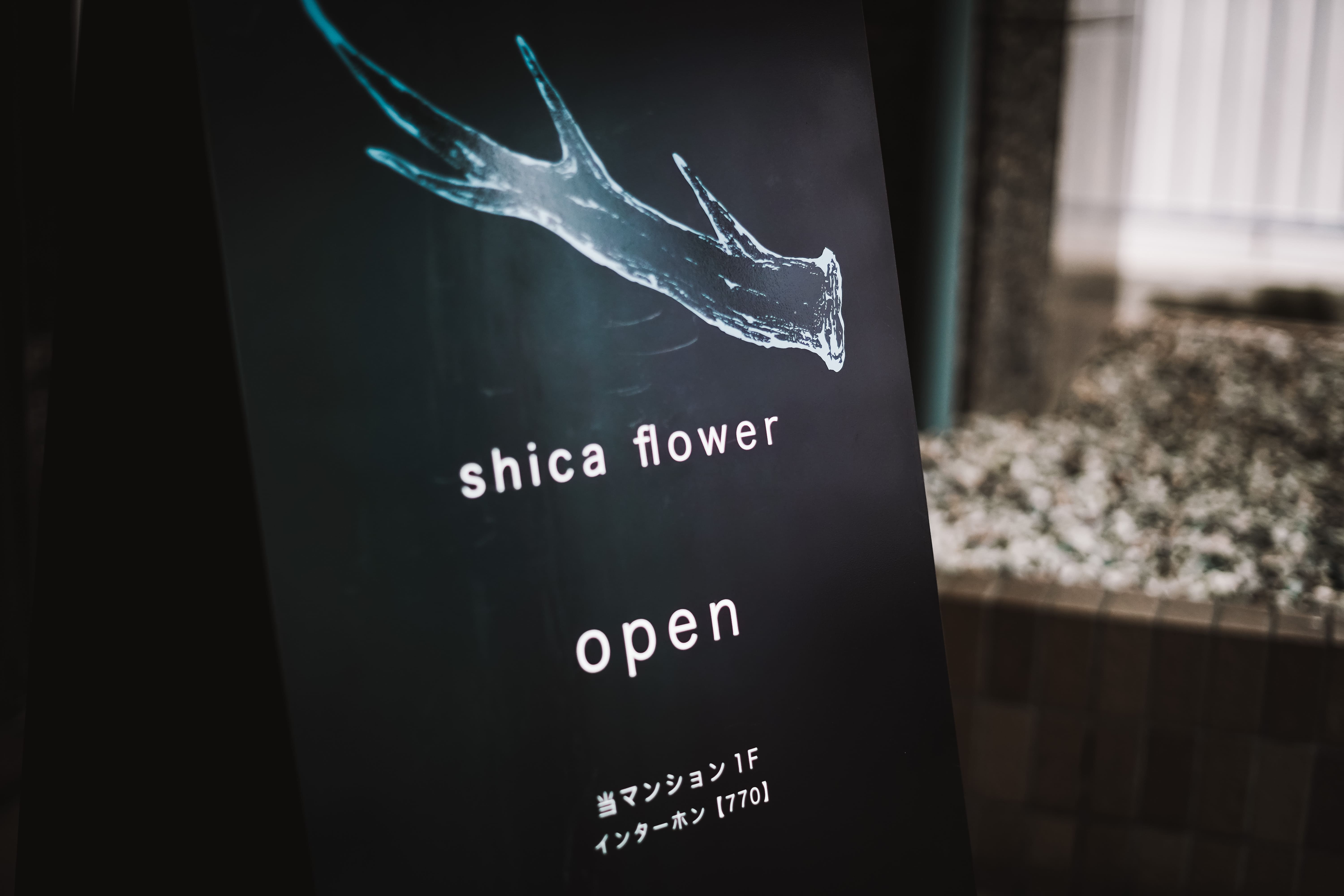 shicaflowerイメージ